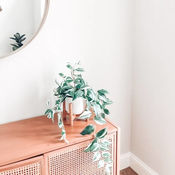 Artificial Wandering Variegated Plant minimalist Boho Decor - Picture 3 of 3